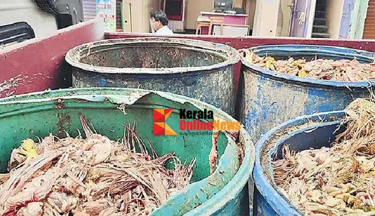  chicken waste