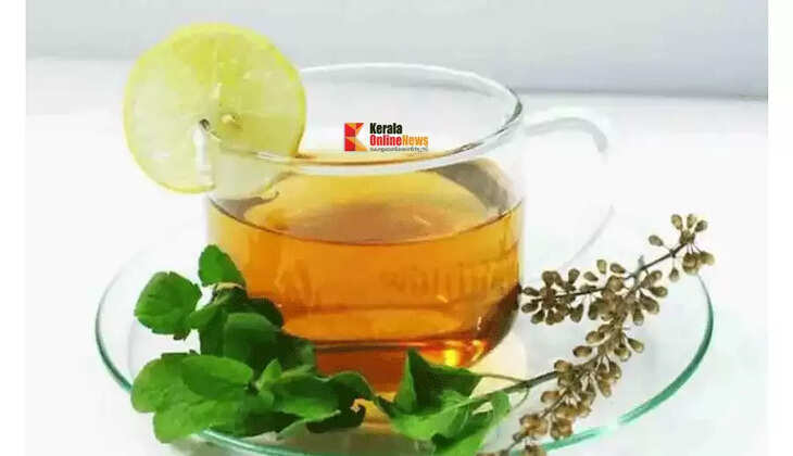 thulsi chaya