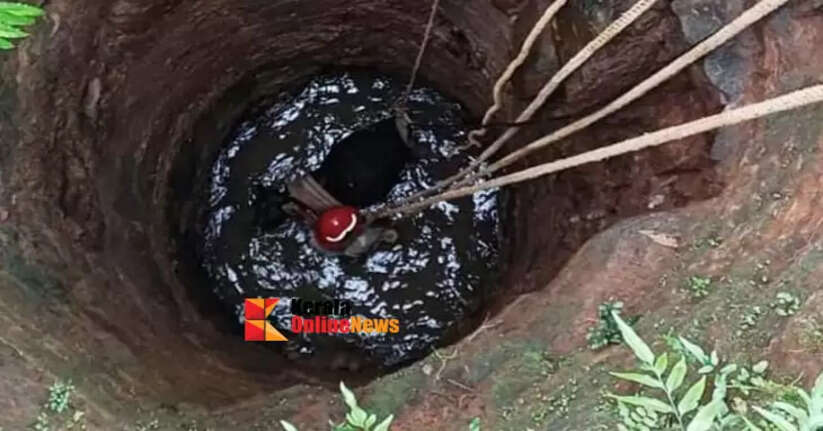 A calf fell into a pota well in Patakulam, Kannur and broke its horn; Fire Force came to its rescue