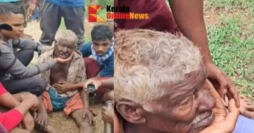 Man injured in wild elephant attack in Attappadi dies