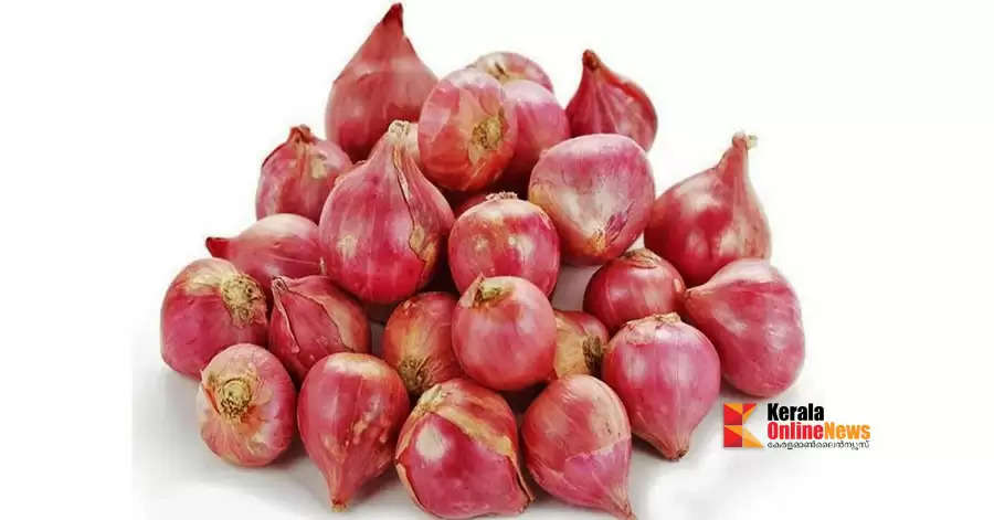 small-onion