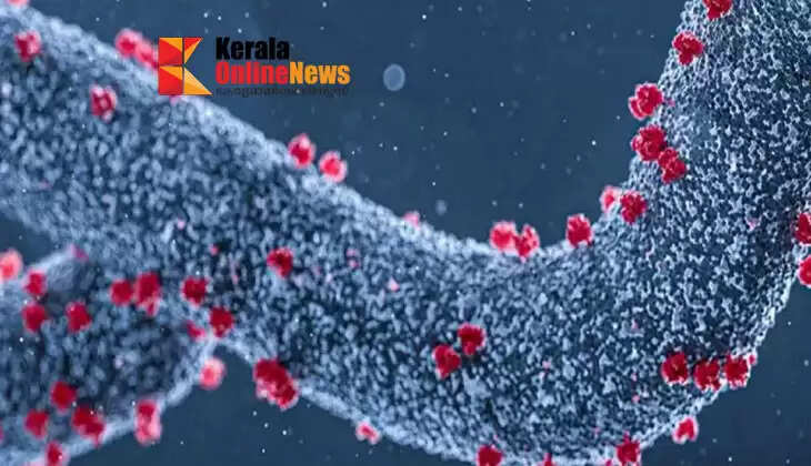 Similar to Ebola; six health workers die of Marburg virus in Rwanda