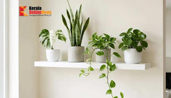indoor