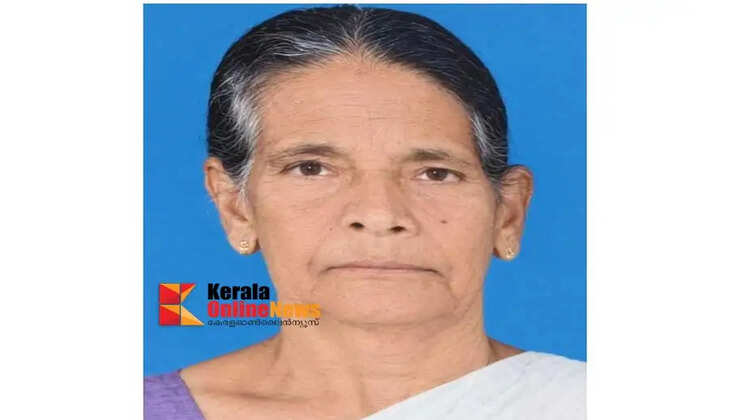 An elderly woman who was undergoing treatment after being stung by hornets in Iritty Kannur has died