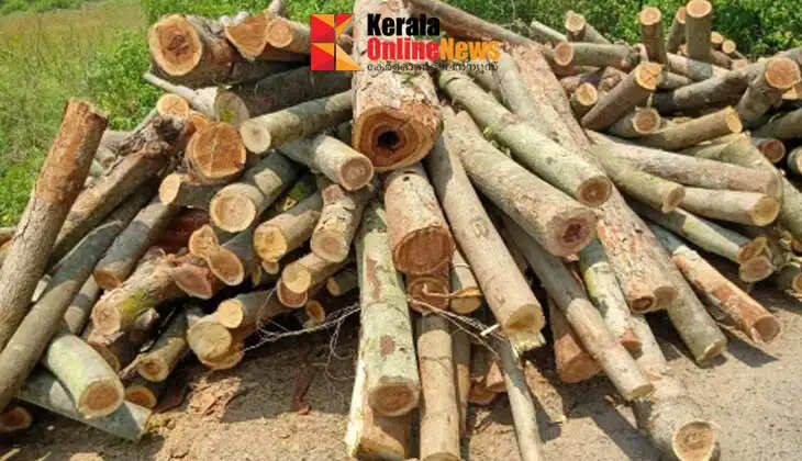 Cooking gas shortage: People in need of firewood, one ton of firewood costs Rs. 5,000