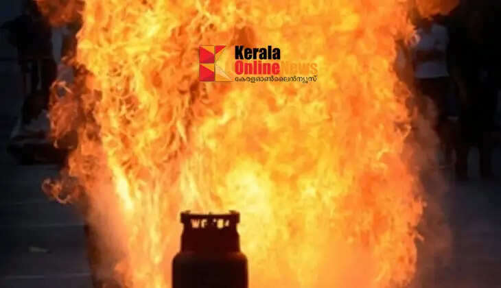 Man who stabbed teenage girl to death in Delhi opens cooking gas cylinder, sets himself on fire, dies