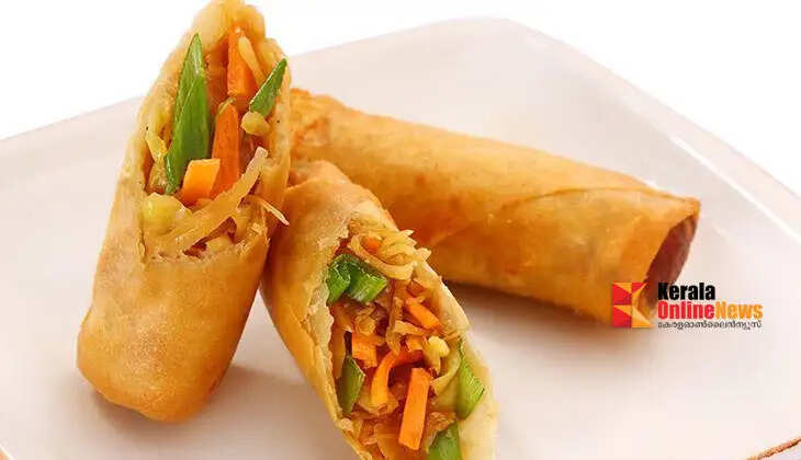 VegetableSpringRoll