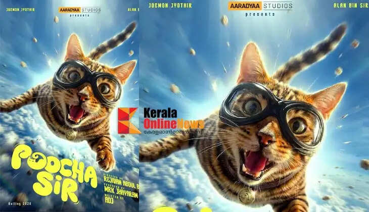 PoochaSir