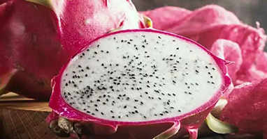 dragon fruit