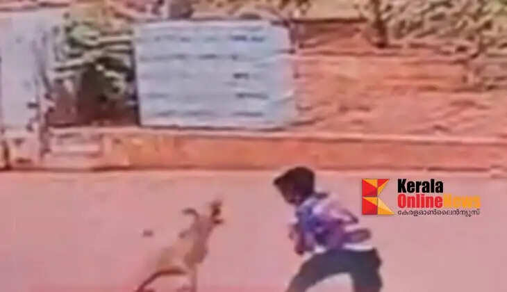 Student seriously injured in attack by stray dog ​​in Panur Kallikandi