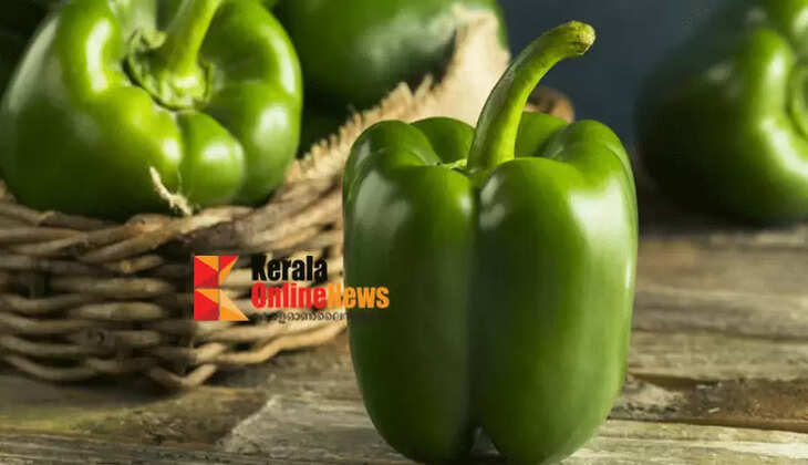 Capsicum