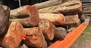 Kannur Kannawat Teak, Angili Mahogany and timber will be auctioned