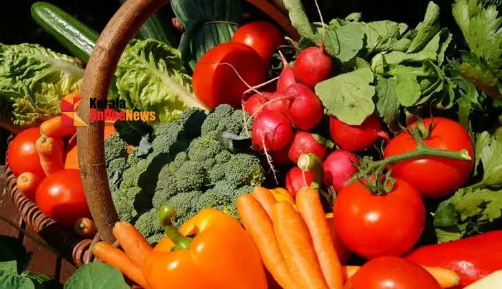 Organic Vegetable Sales: A Successful Initiative Connecting Farmers and Consumers