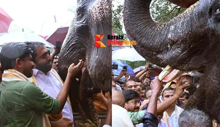 Elephant Feeding Ceremony at Vadakkunnathan Temple at the Dawn of Karkidakam3