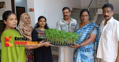 Kitchen garden project started in Vallikunnu village panchayat