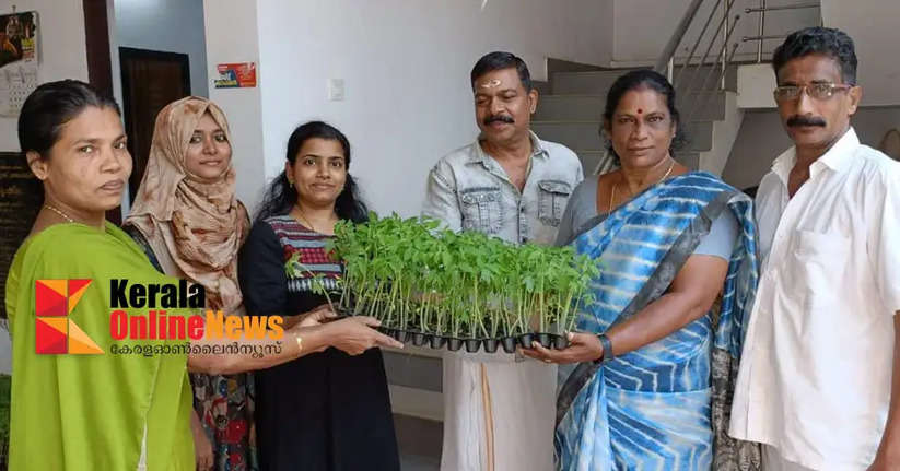 Kitchen garden project started in Vallikunnu village panchayat