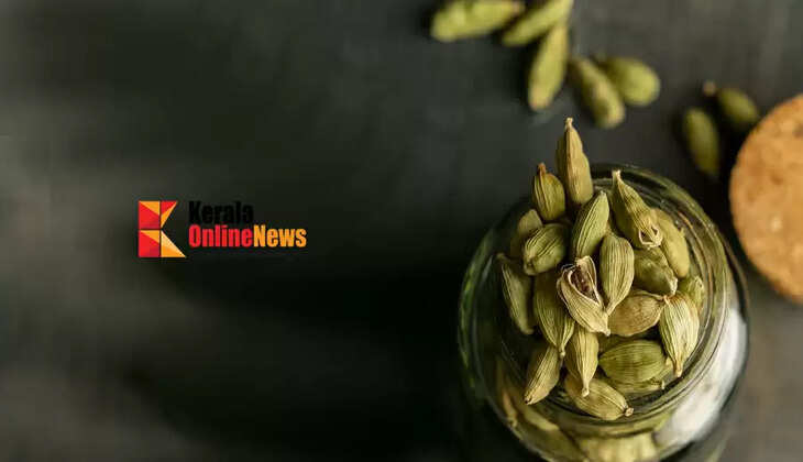 cardamom