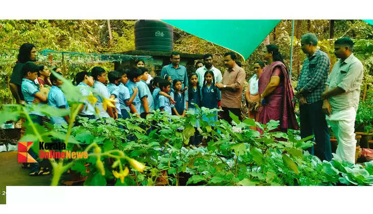 A priceless textbook of agricultural knowledge; Guests of Kannur folk singer Vaikhari arrive on the terrace of the green house