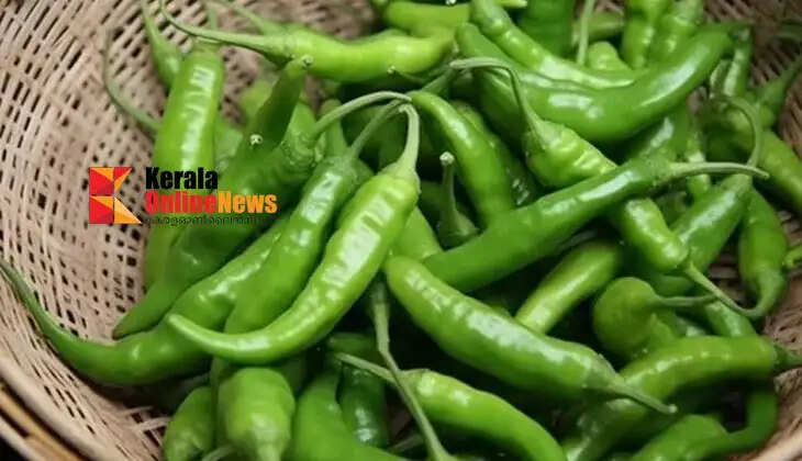 greenchili