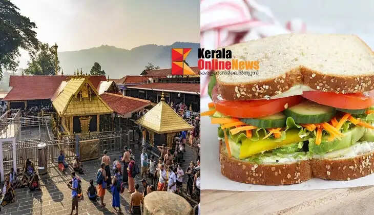 Vegetable Sandwich