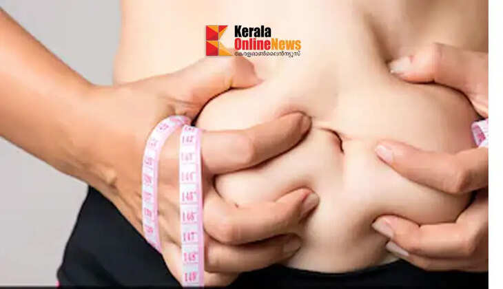 abdominal fat