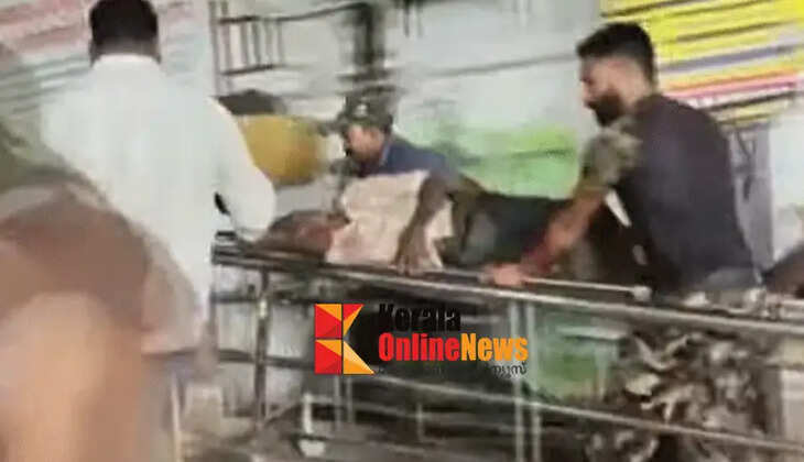 Government announces Rs 14 lakh compensation to family of Raju, who died in elephant attack in Mananthavady
