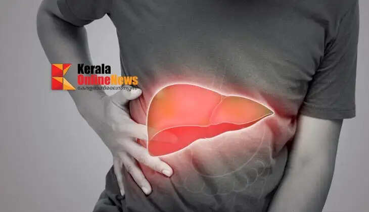 liver