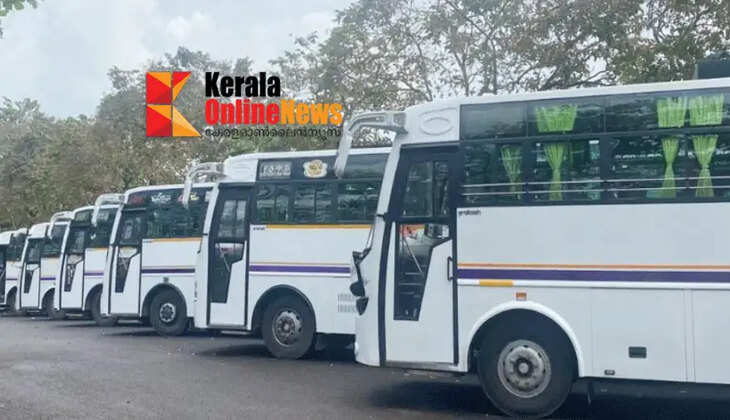 No more white; Color coding for tourist buses has been withdrawn, now you can give it any color you like