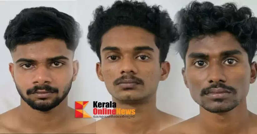 Girl's family rejects marriage proposal, attacks on houses and vehicles: Three arrested