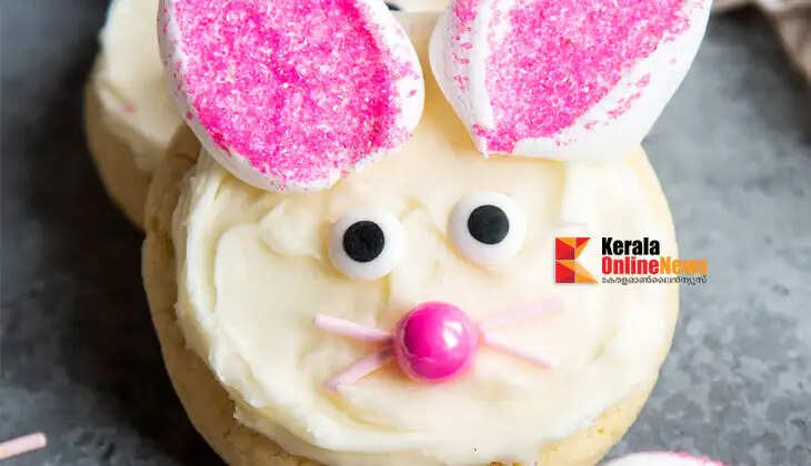 bunny