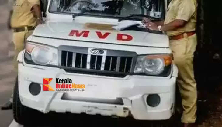 mvd