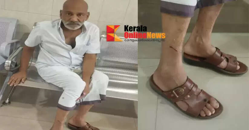 A middle-aged man was bitten by a stray dog ​​in Muzhappilangad, Kannur.