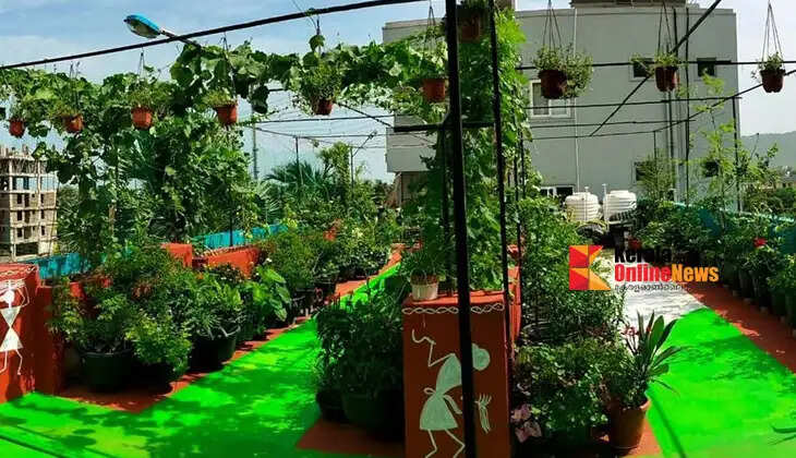 Know the advantages of terrace farming