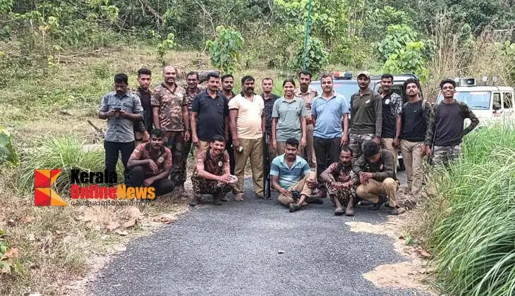Two more wild elephants released from Aralam farm; Forest Department says mission will continue