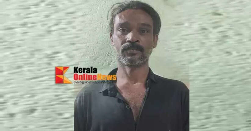 The criminal who spread fear in the city of Thrissur was apprehended within 48 hours