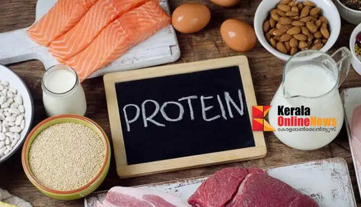 protein