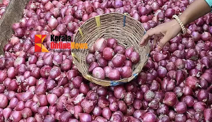 onion