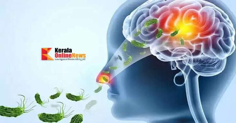 Special alert against amoebic encephalitis in the summer