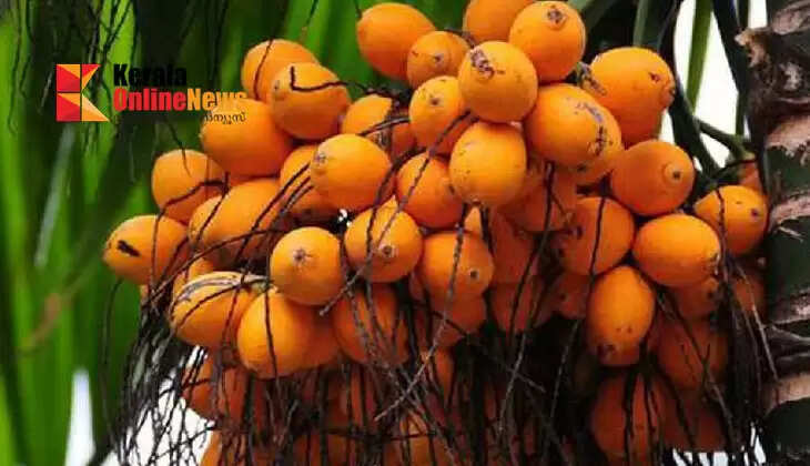 Huge jump in the price of new paddy; crosses 400