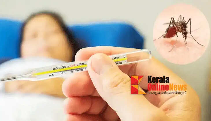 Epidemics and dengue fever spreading in Kannur; Health Department urges caution