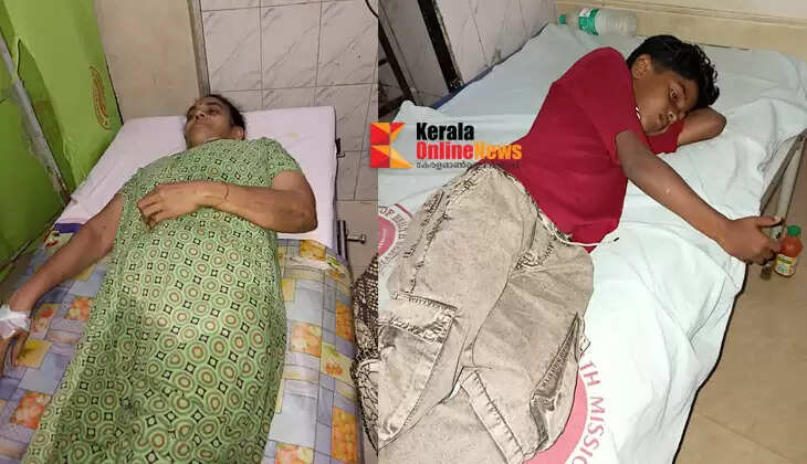 Panur Chendayad street dog attack