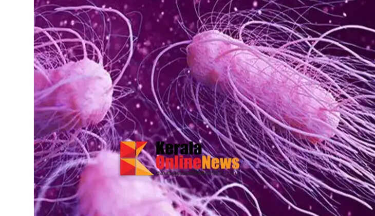 shigella