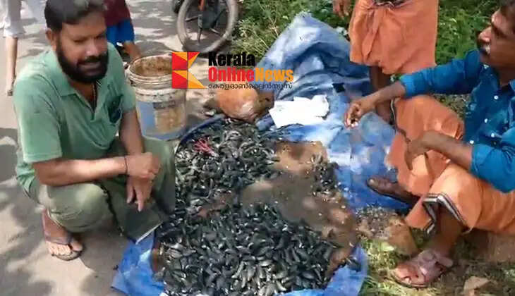Kallummakaya's 'Mangalassery Peruma'; A group of youth with a success story