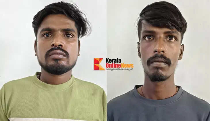 Operation Thunder: Excise Department conducts surprise inspection in Taliparamba; two West Bengal natives arrested with ganja.