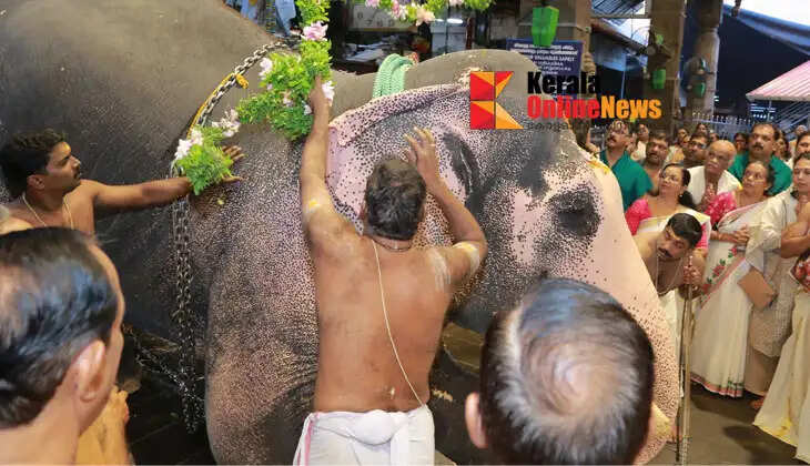 The beauty of prayer and dedication: A symbolic elephant installation ceremony was held at Guruvayur Temple