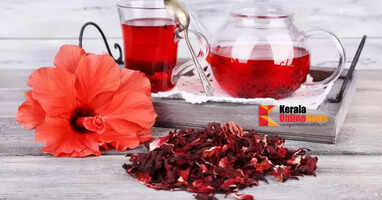 Hibiscus tea