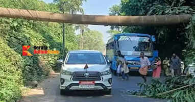 A palm tree fell near the Valapattanam toll booth in Kannur, disrupting traffic.
