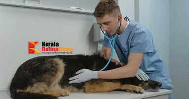animallaboratorytechnician