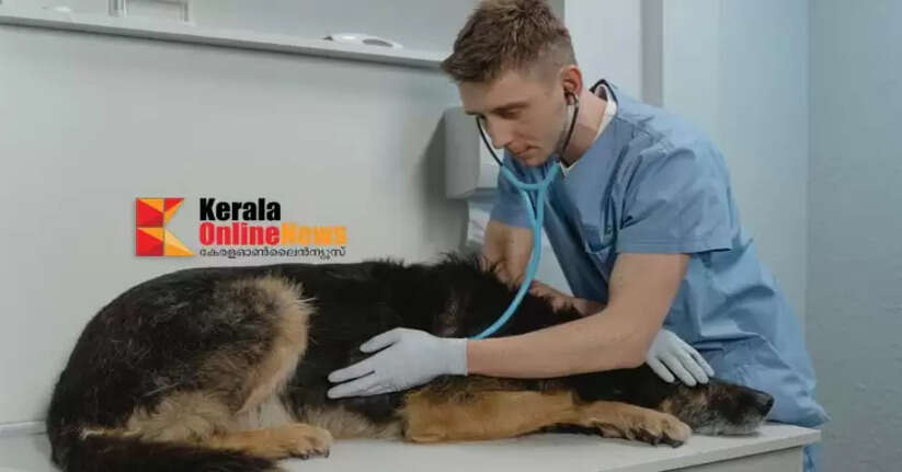 animallaboratorytechnician