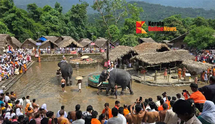 Today is Thiruvathira Chatushatham; Amidst news of an elephant being trapped in Kottiyur, Gajaveeras seek refuge with the gods and goddesses for Shivali22